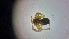  ( - ABOL-24-1354)  @11 [ ] Unspecified (default): All Rights Reserved (2025) Johannes Schall Unspecified