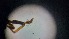  ( - ABOL-24-1358)  @11 [ ] Unspecified (default): All Rights Reserved (2025) Johannes Schall Unspecified