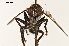  ( - NF-24-001)  @11 [ ] Unspecified (default): All Rights Reserved (2024) Natural history museum Vienna Unspecified