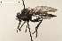  ( - NF-24-001)  @11 [ ] Unspecified (default): All Rights Reserved (2024) Natural history museum Vienna Unspecified