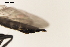  ( - NF-24-001)  @11 [ ] Unspecified (default): All Rights Reserved (2024) Natural history museum Vienna Unspecified