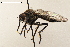  ( - NF-24-001)  @11 [ ] Unspecified (default): All Rights Reserved (2024) Natural history museum Vienna Unspecified