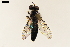  ( - NF-24-003)  @11 [ ] Unspecified (default): All Rights Reserved (2024) Natural history museum Vienna Unspecified