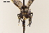  ( - NF-24-003)  @11 [ ] Unspecified (default): All Rights Reserved (2024) Natural history museum Vienna Unspecified