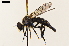  ( - NF-24-003)  @11 [ ] Unspecified (default): All Rights Reserved (2024) Natural history museum Vienna Unspecified