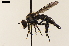  ( - NF-24-003)  @11 [ ] Unspecified (default): All Rights Reserved (2024) Natural history museum Vienna Unspecified