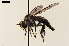  ( - NF-24-003)  @11 [ ] Unspecified (default): All Rights Reserved (2024) Natural history museum Vienna Unspecified