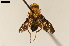  ( - NF-24-008)  @11 [ ] Unspecified (default): All Rights Reserved (2024) Natural history museum Vienna Unspecified