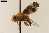  ( - NF-24-008)  @11 [ ] Unspecified (default): All Rights Reserved (2024) Natural history museum Vienna Unspecified
