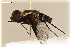  ( - NF-24-016)  @11 [ ] Unspecified (default): All Rights Reserved (2024) Natural history museum Vienna Unspecified