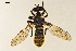  ( - NF-24-024)  @11 [ ] Unspecified (default): All Rights Reserved (2024) Natural history museum Vienna Unspecified
