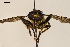  ( - NF-24-024)  @11 [ ] Unspecified (default): All Rights Reserved (2024) Natural history museum Vienna Unspecified