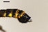  ( - NF-24-030)  @11 [ ] Unspecified (default): All Rights Reserved (2024) Natural history museum Vienna Unspecified