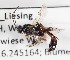  ( - ABOL-24-1633)  @11 [ ] Unspecified (default): All Rights Reserved (2024) Natural history museum Vienna Unspecified