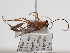  ( - ABOL-24-1639)  @11 [ ] Unspecified (default): All Rights Reserved (2024) Natural history museum Vienna Unspecified