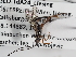  ( - ABOL-24-1644)  @11 [ ] Unspecified (default): All Rights Reserved (2024) Natural history museum Vienna Unspecified