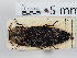  ( - ABOL-24-1611)  @11 [ ] Unspecified (default): All Rights Reserved (2024) Naturhistorisches Museum Wien Naturhistorisches Museum Wien