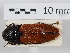  ( - ABOL-24-1550)  @11 [ ] Unspecified (default): All Rights Reserved (2024) Naturhistorisches Museum Wien Naturhistorisches Museum Wien