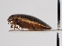  ( - ABOL-24-0022)  @11 [ ] Unspecified (default): All Rights Reserved (2024) Natural history museum Vienna Unspecified
