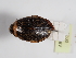  ( - ABOL-24-0021)  @11 [ ] Unspecified (default): All Rights Reserved (2024) Natural history museum Vienna Unspecified
