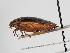  ( - ABOL-24-0021)  @11 [ ] Unspecified (default): All Rights Reserved (2024) Natural history museum Vienna Unspecified