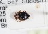  ( - ABOL-24-0070)  @11 [ ] Unspecified (default): All Rights Reserved (2024) Natural history museum Vienna Unspecified