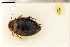  ( - ABOL-24-0070)  @11 [ ] Unspecified (default): All Rights Reserved (2024) Natural history museum Vienna Unspecified