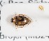  ( - ABOL-24-0072)  @11 [ ] Unspecified (default): All Rights Reserved (2024) Natural history museum Vienna Unspecified