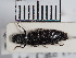  ( - ABOL-25-0280)  @11 [ ] Unspecified (default): All Rights Reserved (2025) Naturhistorisches Museum Wien Unspecified