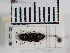  ( - ABOL-25-0289)  @11 [ ] Unspecified (default): All Rights Reserved (2025) Naturhistorisches Museum Wien Unspecified