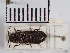  ( - ABOL-25-0245)  @11 [ ] Unspecified (default): All Rights Reserved (2025) Naturhistorisches Museum Wien Unspecified