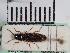  ( - ABOL-25-0262)  @11 [ ] Unspecified (default): All Rights Reserved (2025) Naturhistorisches Museum Wien Unspecified