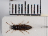  ( - ABOL-25-0263)  @11 [ ] Unspecified (default): All Rights Reserved (2025) Naturhistorisches Museum Wien Unspecified