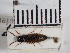  ( - ABOL-25-0266)  @11 [ ] Unspecified (default): All Rights Reserved (2025) Naturhistorisches Museum Wien Unspecified