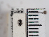  ( - ABOL-25-0213)  @11 [ ] Unspecified (default): All Rights Reserved (2025) Naturhistorisches Museum Wien Unspecified