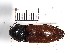  ( - ABOL-25-0221)  @11 [ ] Unspecified (default): All Rights Reserved (2025) Naturhistorisches Museum Wien Unspecified