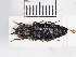  ( - ABOL-25-0299)  @11 [ ] Unspecified (default): All Rights Reserved (2025) Naturhistorisches Museum Wien Unspecified