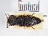  ( - ABOL-25-0300)  @11 [ ] Unspecified (default): All Rights Reserved (2025) Naturhistorisches Museum Wien Unspecified