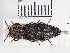  ( - ABOL-25-0379)  @11 [ ] Unspecified (default): All Rights Reserved (2025) Naturhistorisches Museum Wien Unspecified