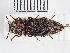  ( - ABOL-25-0380)  @11 [ ] Unspecified (default): All Rights Reserved (2025) Naturhistorisches Museum Wien Unspecified