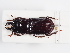  ( - ABOL-25-0483)  @11 [ ] CC-BY (2025) Naturhistorisches Museum Wien Unspecified