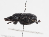  ( - ABOL-25-0570)  @11 [ ] CC-BY (2025) Naturhistorisches Museum Wien Unspecified