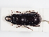  ( - ABOL-25-0583)  @11 [ ] CC-BY (2025) Naturhistorisches Museum Wien Unspecified