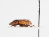  ( - ABOL-25-0651)  @11 [ ] CC-BY (2025) Naturhistorisches Museum Wien Unspecified