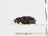  ( - ABOL-25-0669)  @11 [ ] CC-BY (2025) Naturhistorisches Museum Wien Unspecified