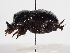  ( - ABOL-25-0446)  @11 [ ] CC-BY (2025) Naturhistorisches Museum Wien Unspecified