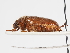  ( - ABOL-25-0631)  @11 [ ] CC-BY (2025) Naturhistorisches Museum Wien Unspecified