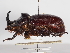  ( - ABOL-25-0621)  @11 [ ] CC-BY (2025) Naturhistorisches Museum Wien Unspecified
