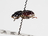  ( - ABOL-25-0511)  @11 [ ] CC-BY (2025) Naturhistorisches Museum Wien Unspecified