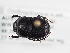  ( - ABOL-25-0543)  @11 [ ] Unspecified (default): All Rights Reserved (2025) Naturhistorisches Museum Wien Unspecified
